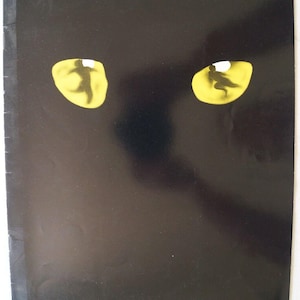 May include: A black background with two bright yellow cat eyes. The eyes are slightly open and have a black pupil.