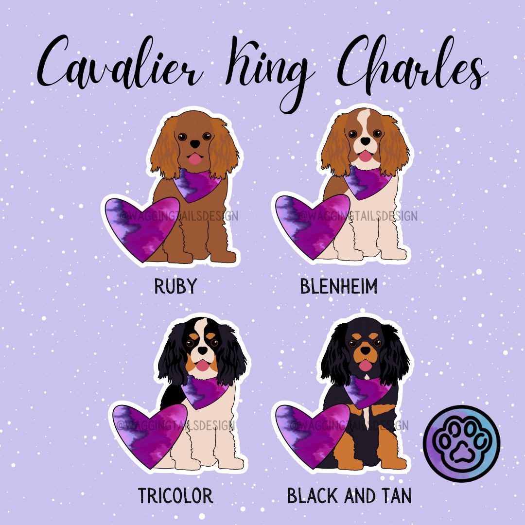 Cavalier King Charles Sticker // Available in 4 Colors, Sold Separately ...