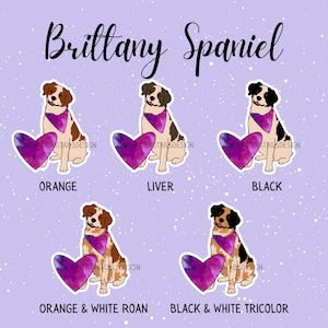 Brittany Sticker // Now available in 5 color options!