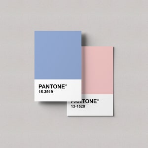 Maquetas de tarjetas Pantone