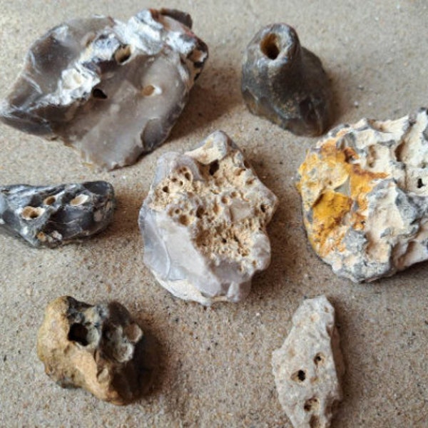 Feuerstein Sammlung Ostseesteine Flint Bruchstücke natürliche Strandsteine kleine Steinskulpturen Meer Kreide Kalk maritime Deko Gartenkunst