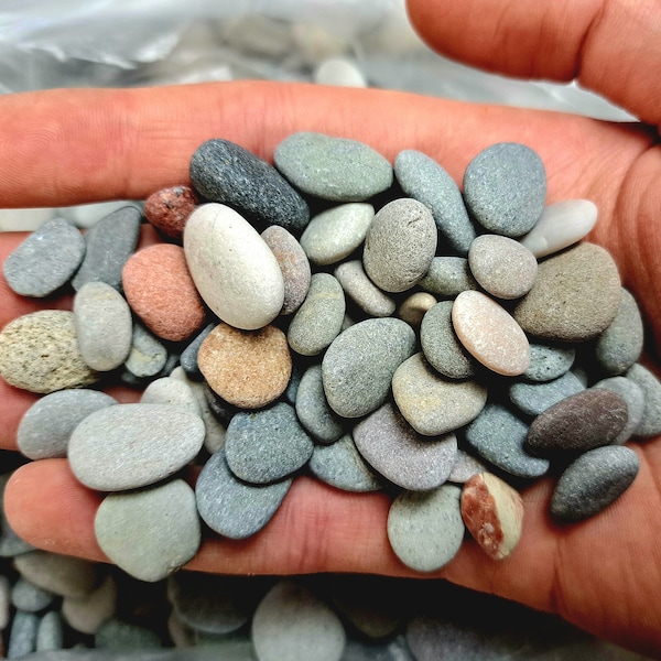 Kieselsteine Nordsee kleine runde Strandkiesel natürliche Küstensteine Steine für Kieselkunst maritime Deko Föhr Basteln mit Strandgut Natur