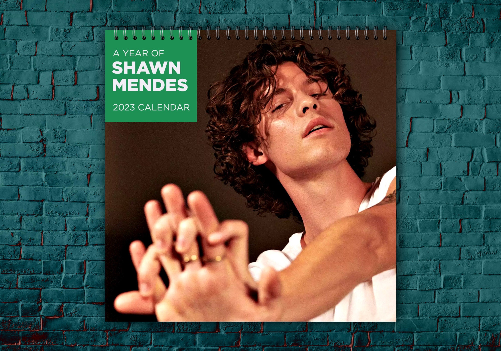 Shawn Mendes Calendar 2023 Celebrity Calendar 2023 Wall - Etsy