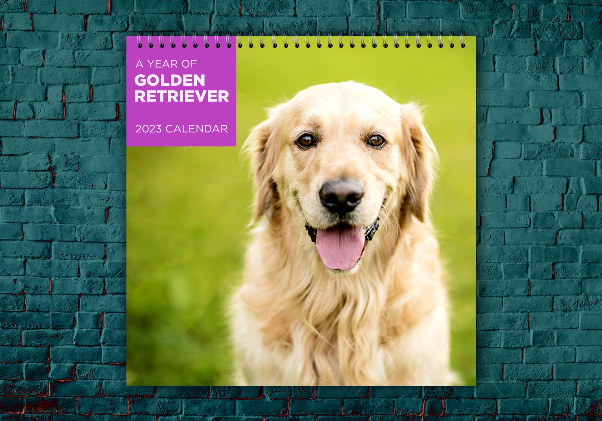Golden Retriever Calendar 2023 Dog Breed Calendar Golden - Etsy