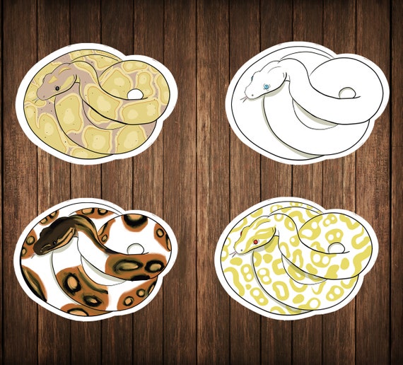 Ball Python Stickers Morph Variety Pack Set of 4 Paper | Etsy