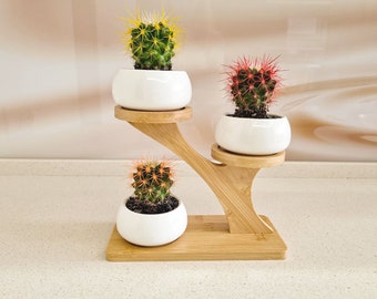 Soporte de madera para cactus suculentos. Moderno soporte para plantas ecológico. Soporte hecho a mano para 3 macetas pequeñas. Decoraciones de alféizar de mesa