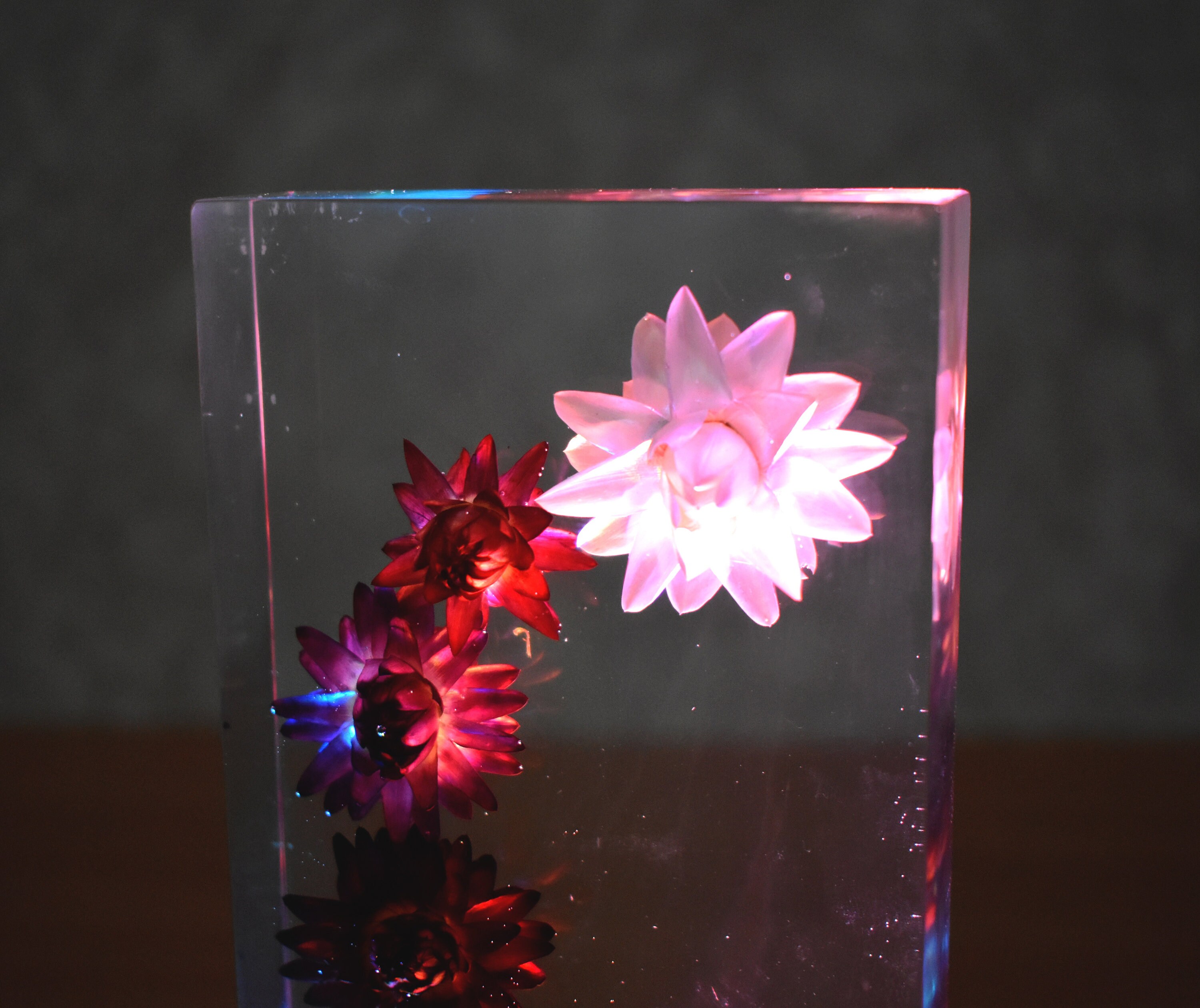 Helichrysum touch led night light epoxy resin decor bouquet Etsy