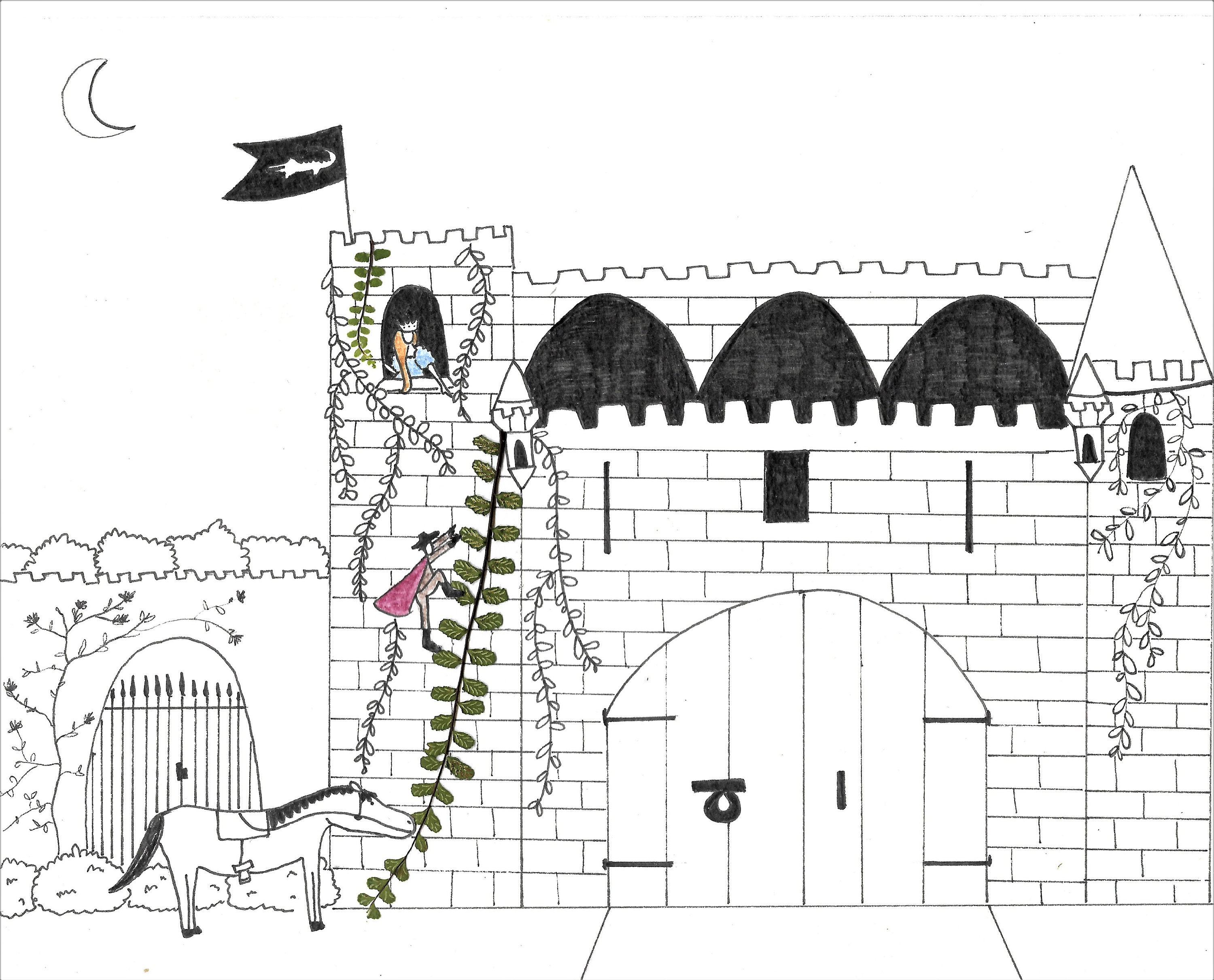 Conte de Fée - Capillaires Des Murailles Séchées & Gribouillis