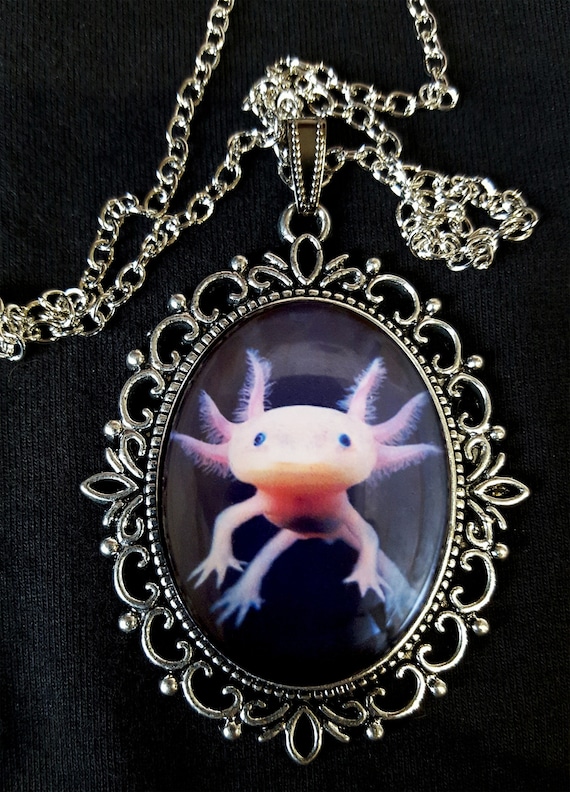 Axolotl Necklace for Women Sterling Silver Cute Mexican Axolotl Charms  Necklaces