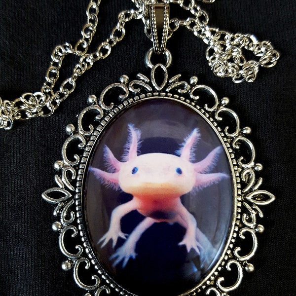 Axolotl Large Antique Silver Pendant Necklace Earrings Brooch Cufflinks Salamander Amphibian Mexican Walking Fish Neotenic