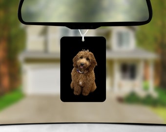 Personalized Gift | Car Air Freshie Customized for Him or Her
