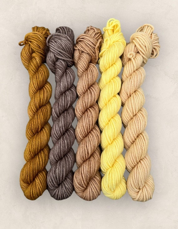 Mini Skein Set X 20g DK Yarn Pack Earth Tones Hand Dyed SW