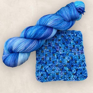 May include: A ball of blue variegated yarn and a crocheted square. The yarn is a mix of blues and white. The crocheted square features a floral pattern in various shades of blue.