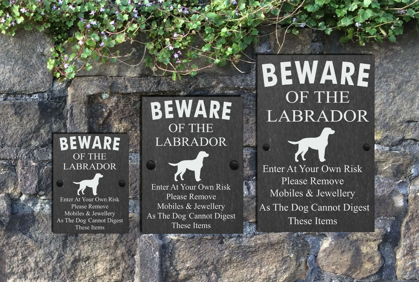 Humorous Beware Of The Whippet Dog Slate Sign Plaque 3 Sizes Available