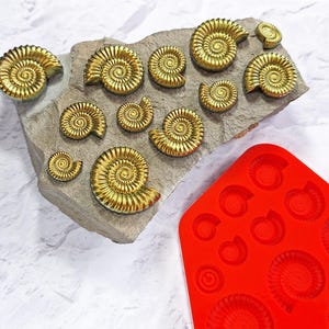 May include: Gold-coloured ammonite fossils displayed on a grey stone slab. A red silicone mould with ammonite impressions is also visible, indicating a crafting or decorative purpose. The fossils are of various sizes, highlighting detailed spiral patterns.