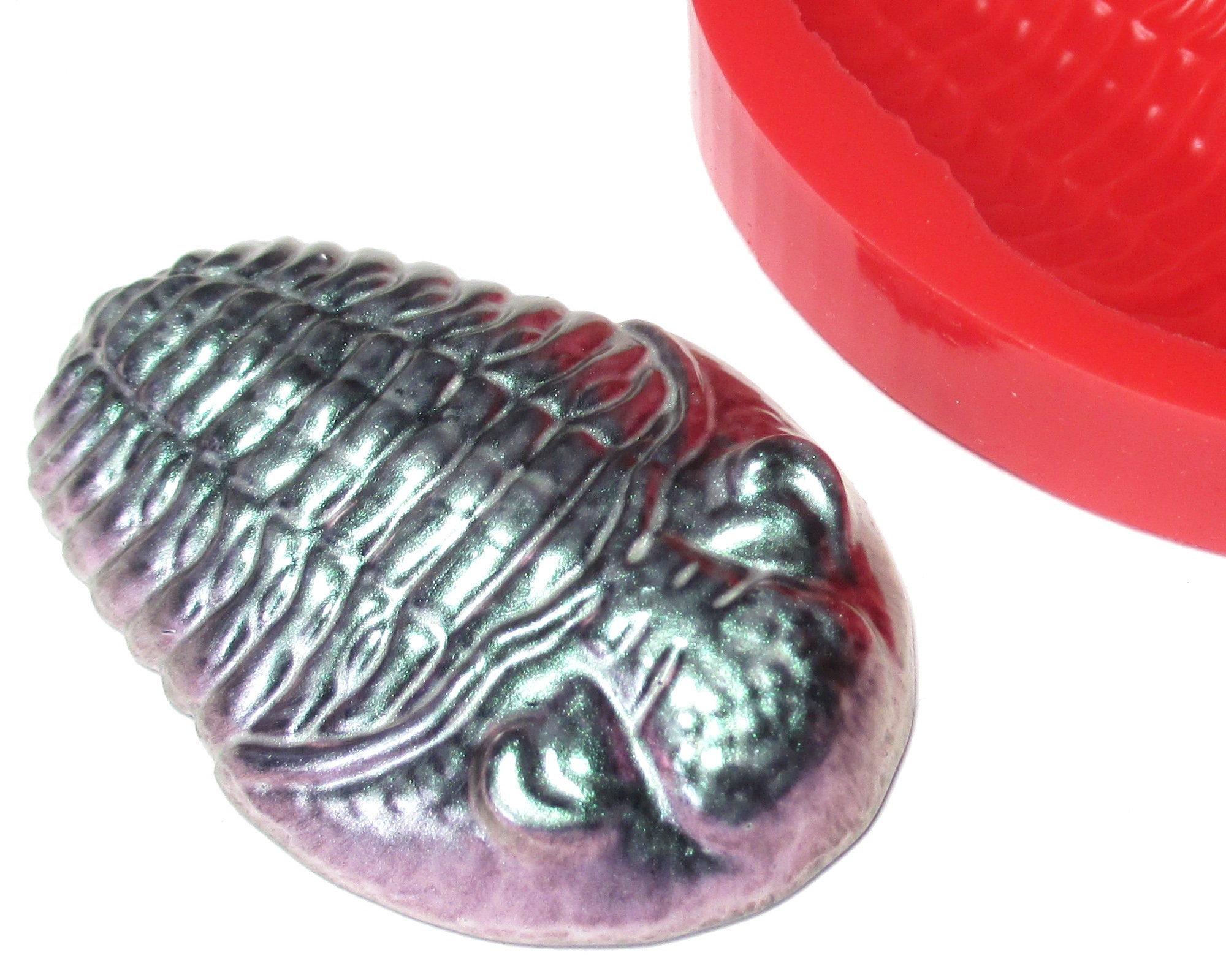 KICHOUSE 2pièces Trilobite Specimens For Education And Decoration Fun Paleontology Teaching Props