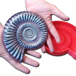 May include: A metallic purple and blue ammonite fossil replica with a spiral shell pattern and a matching bright red silicone mould. The fossil replica features detailed ridges and a glossy finish, while the flexible red mould shows the negative impression.