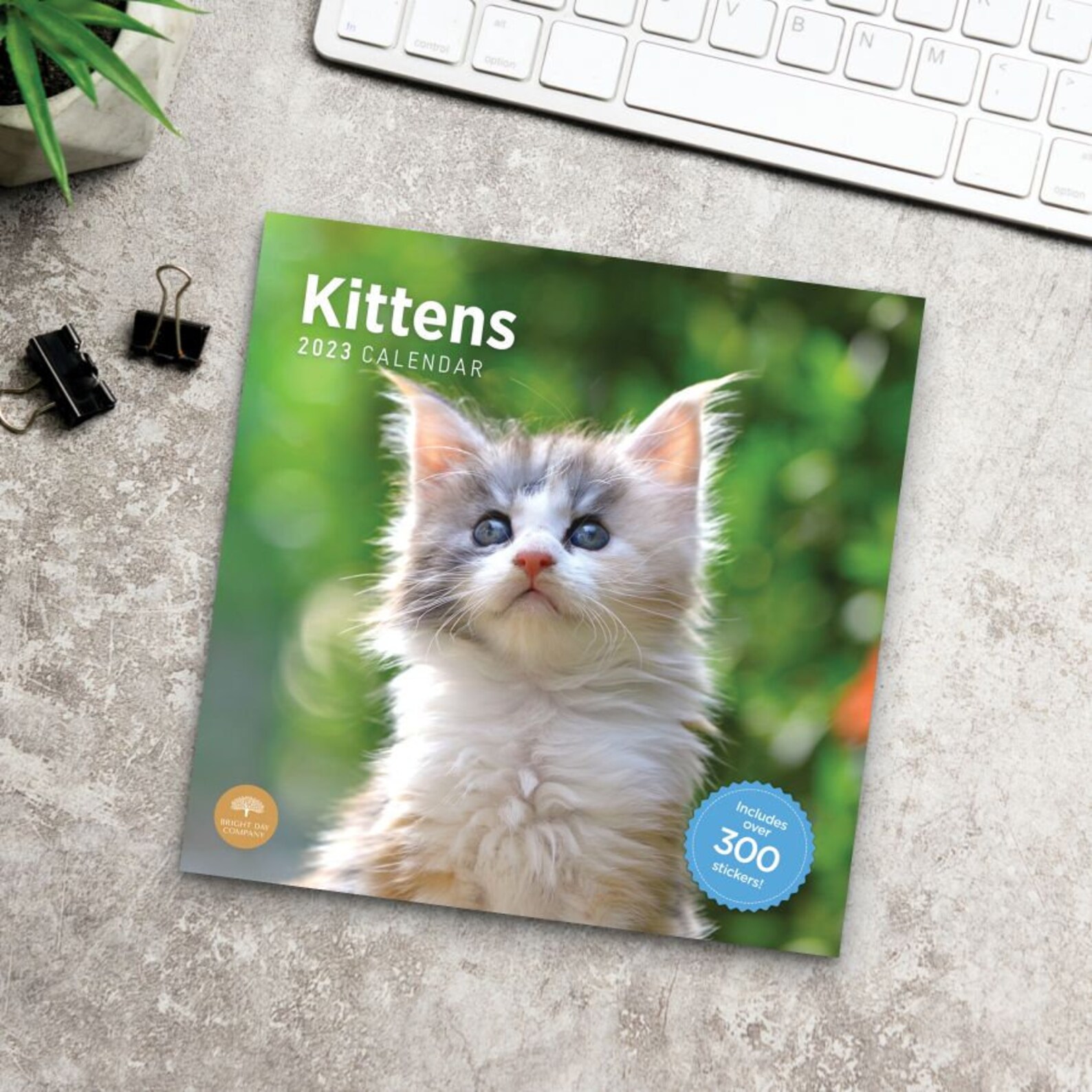 2023 Kittens Sticker Wall Calendar by Bright Day 12x12 Inch Etsy