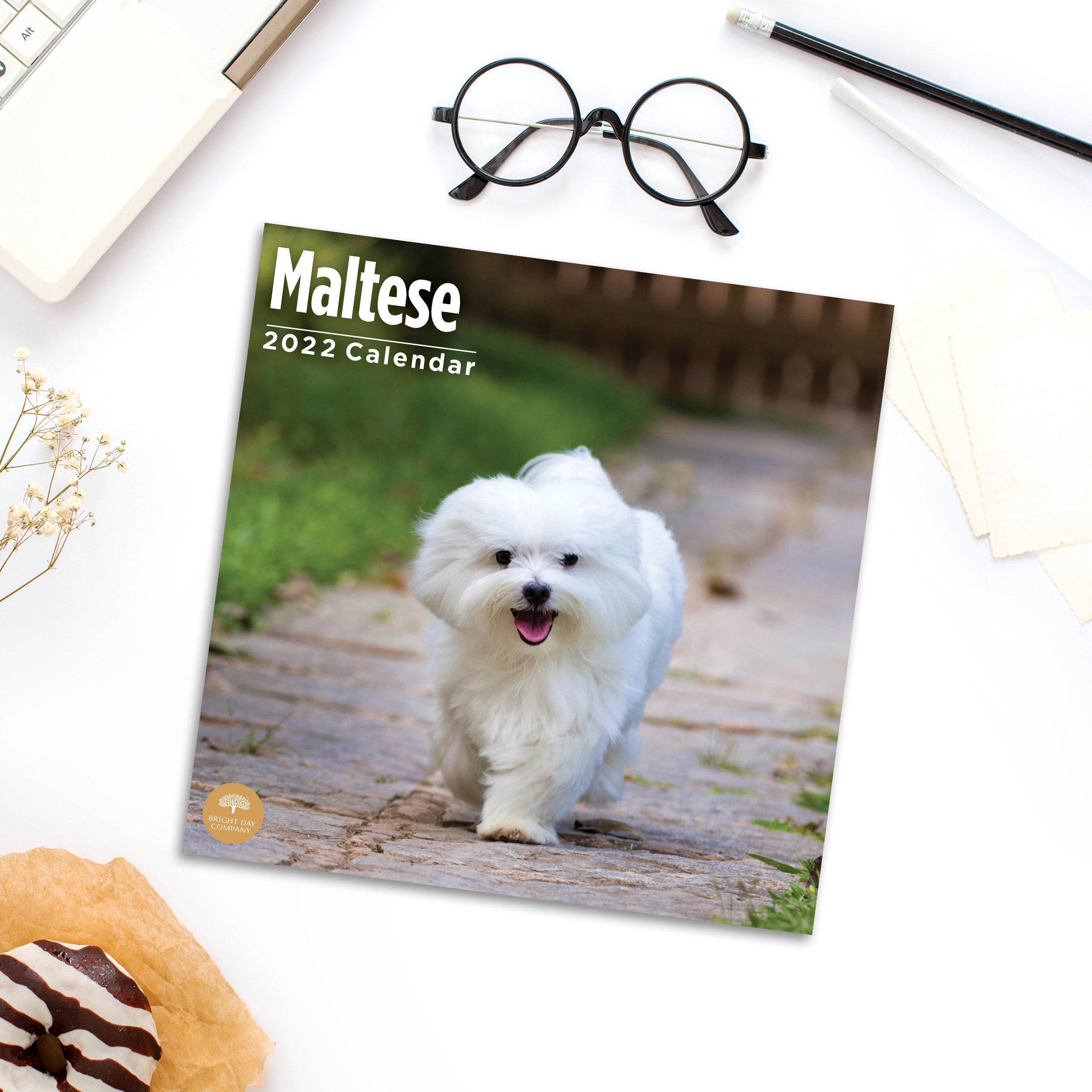 2022 Maltese Wall Calendar by Bright Day 12 x 12 Inch Etsy