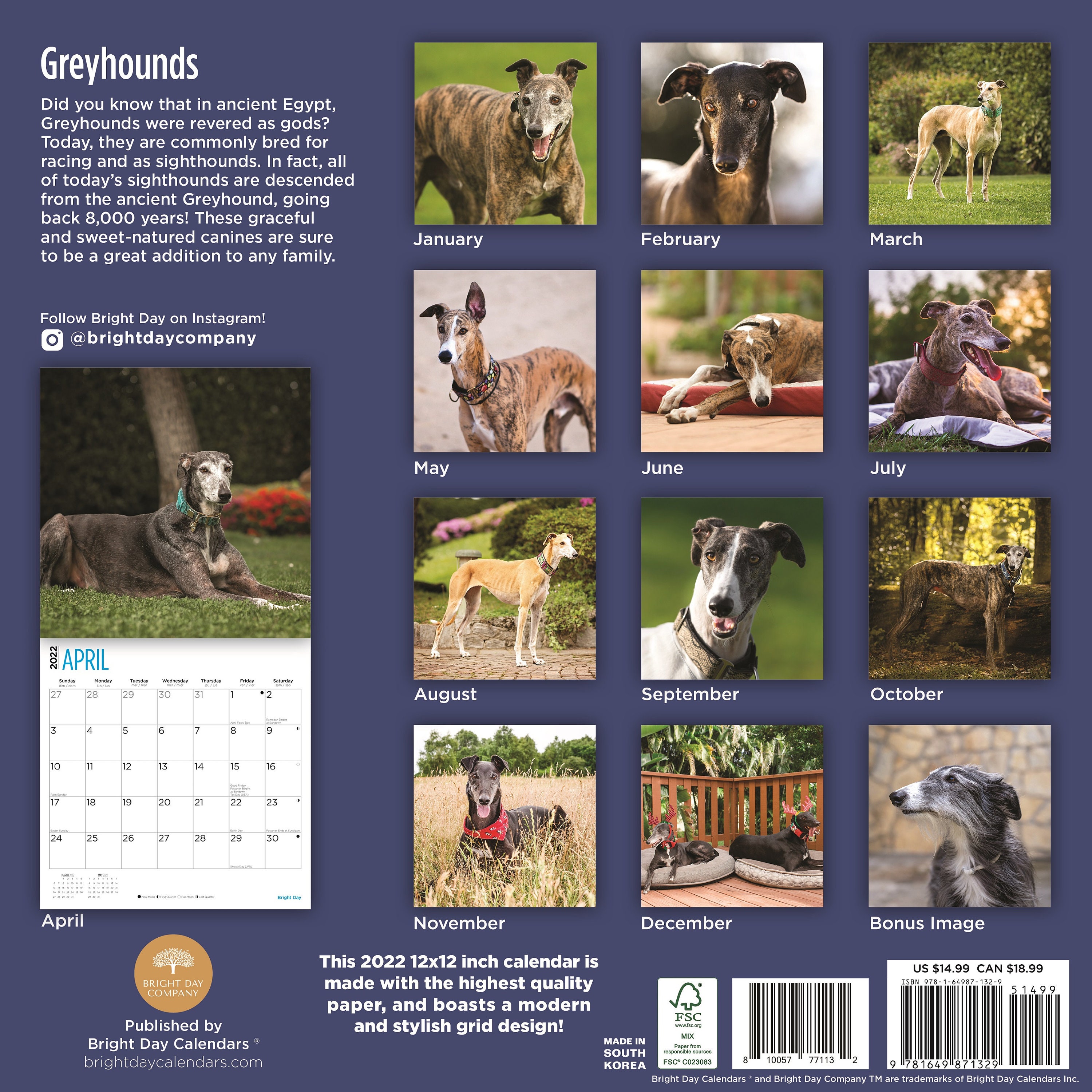 2022 Greyhounds Wall Calendar by Bright Day 12 x 12 Inch Etsy