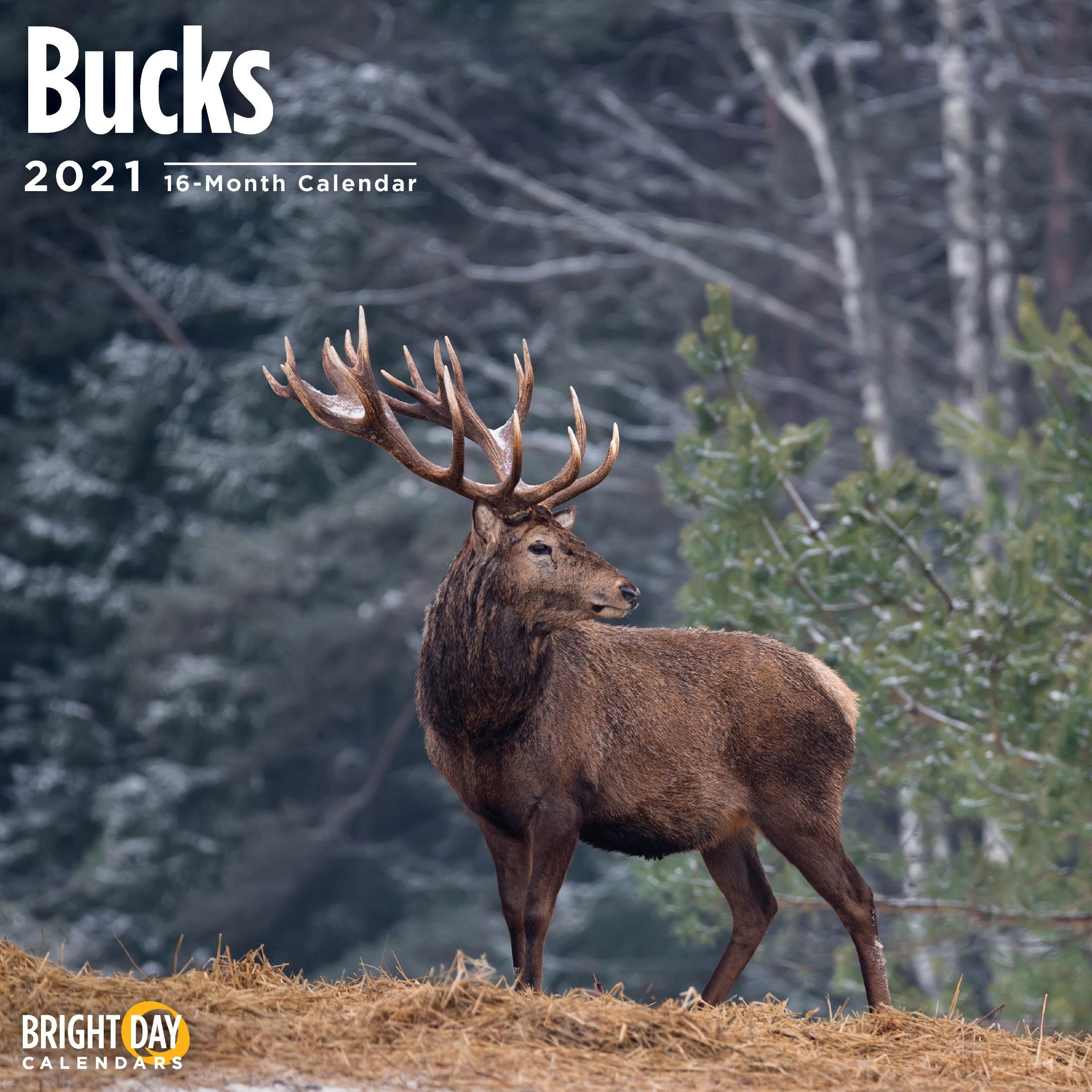 2021 Bucks 12 x 12 Wall Calendar Deer Antlers Hunting Outdoors Etsy