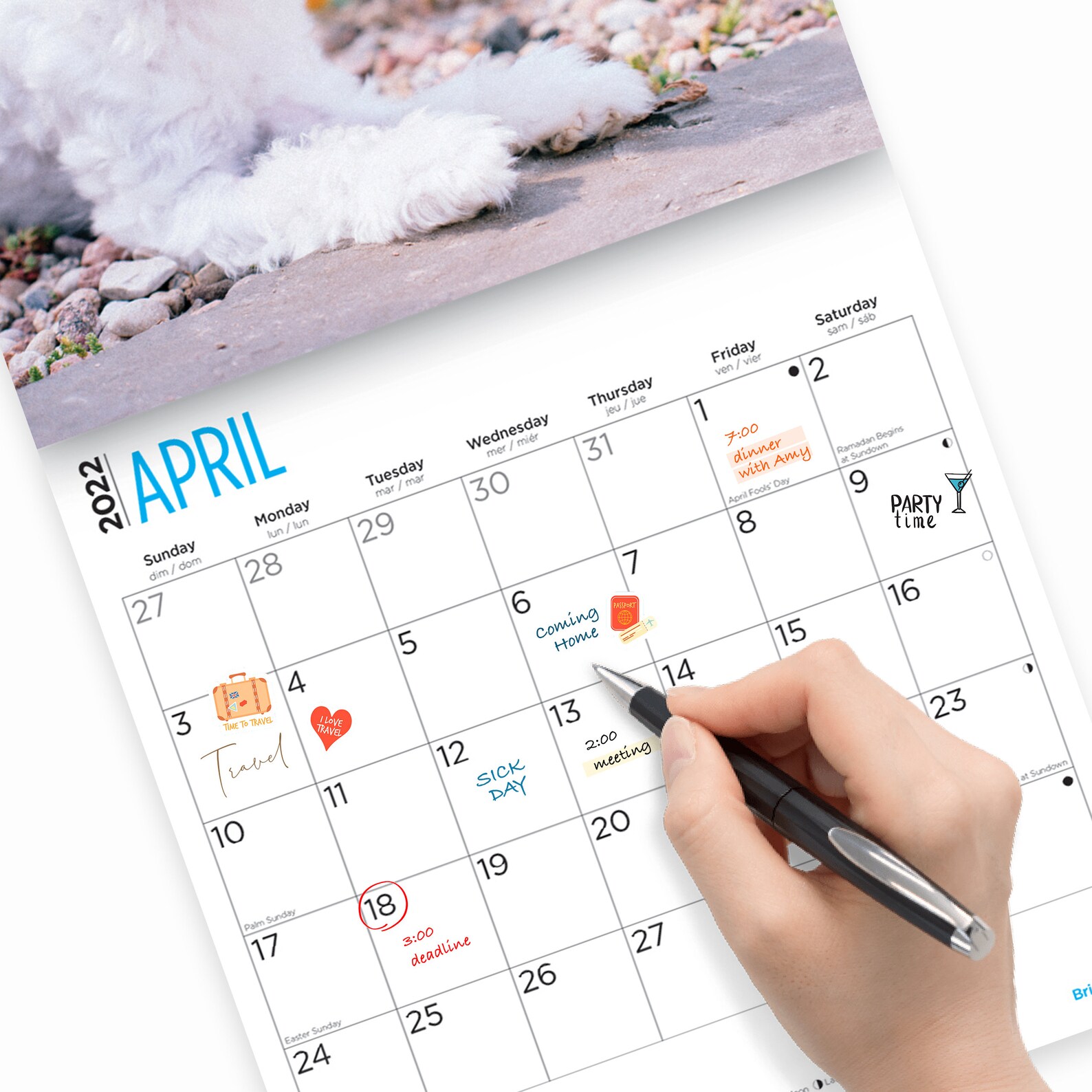 2022 Maltese Wall Calendar by Bright Day 12 x 12 Inch Etsy