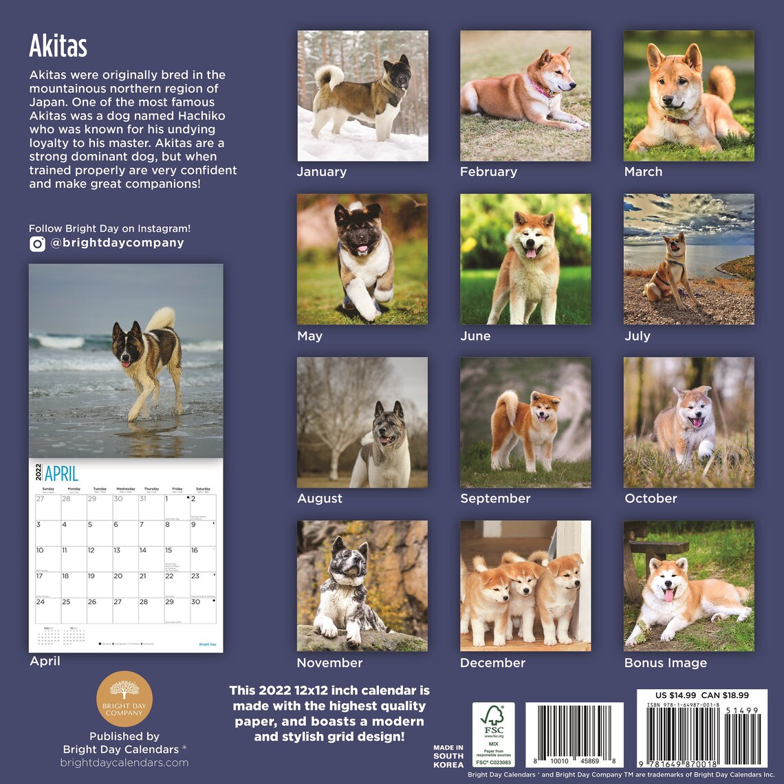 2022 Akitas Wall Calendar by Bright Day 12 X 12 Inch Etsy