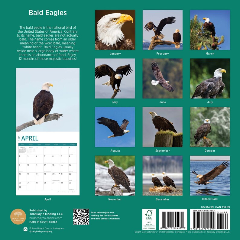 2023 Bald Eagles Wall Calendar by Bright Day 12x12 Inch Etsy