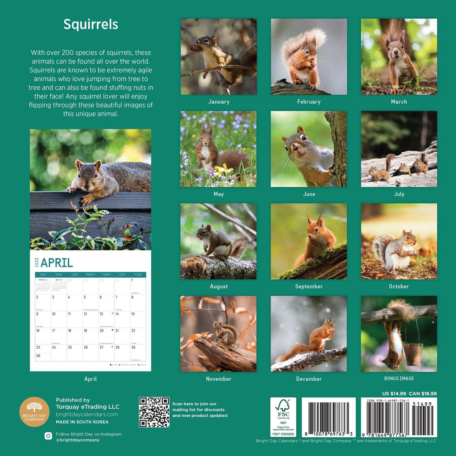 2023 Squirrels Wall Calendar by Bright Day 12x12 Inch Etsy