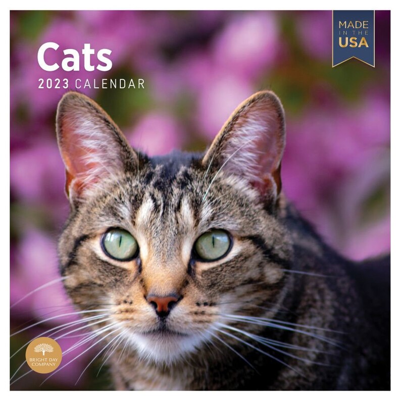 2023 Cats Wall Calendar by Bright Day 12x12 Inch Etsy