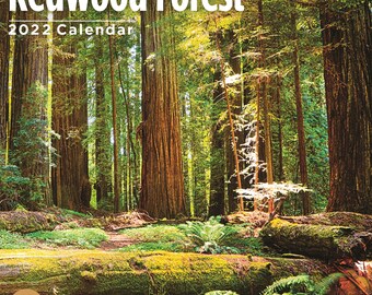 Forest Calendar | Etsy