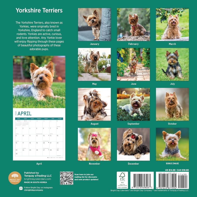 2023 Yorkshire Terriers Wall Calendar by Bright Day 12x12 Etsy