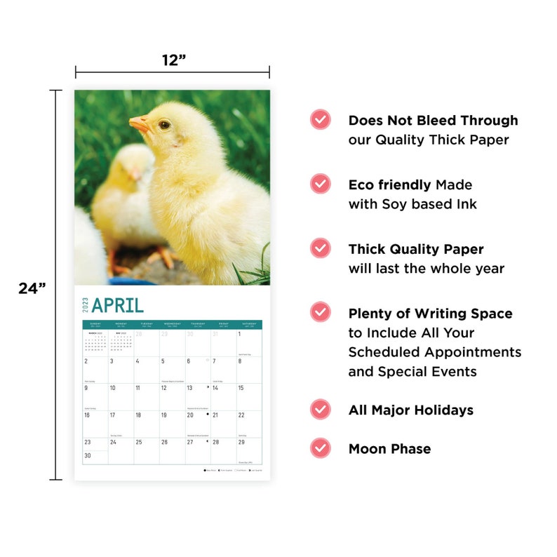 2023 Chicks Wall Calendar by Bright Day 12x12 Inch Etsy