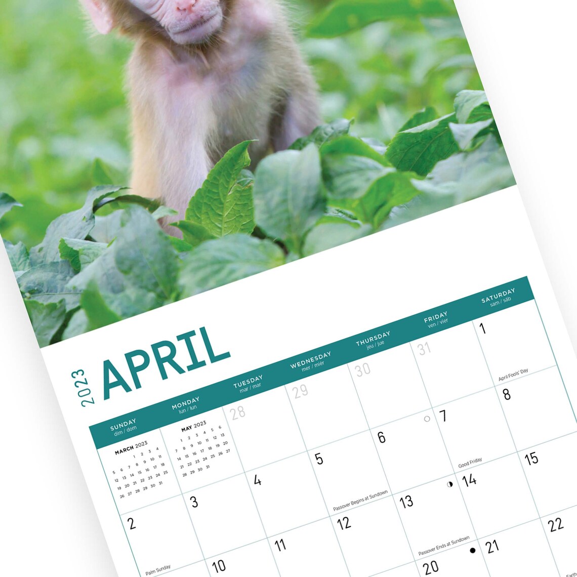 2023 Baby Animals Wall Calendar by Bright Day 12x12 Inch Etsy