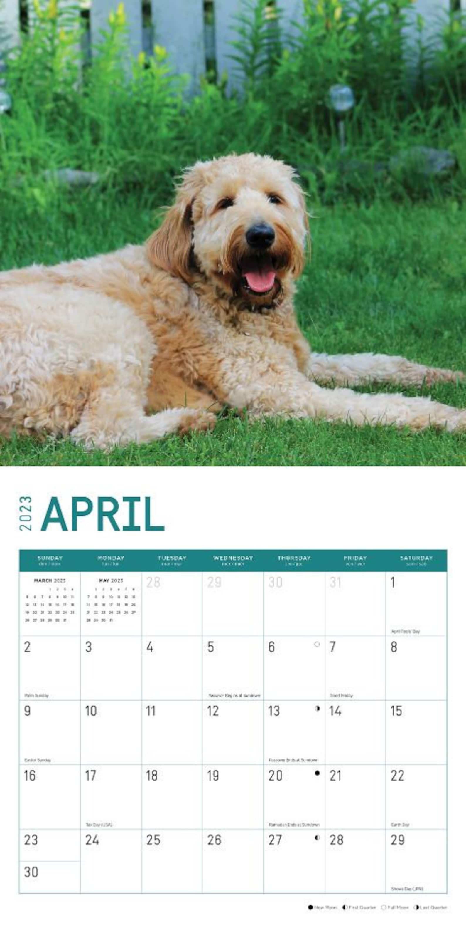 2023 Goldendoodles Wall Calendar by Bright Day 12x12 Inch Etsy