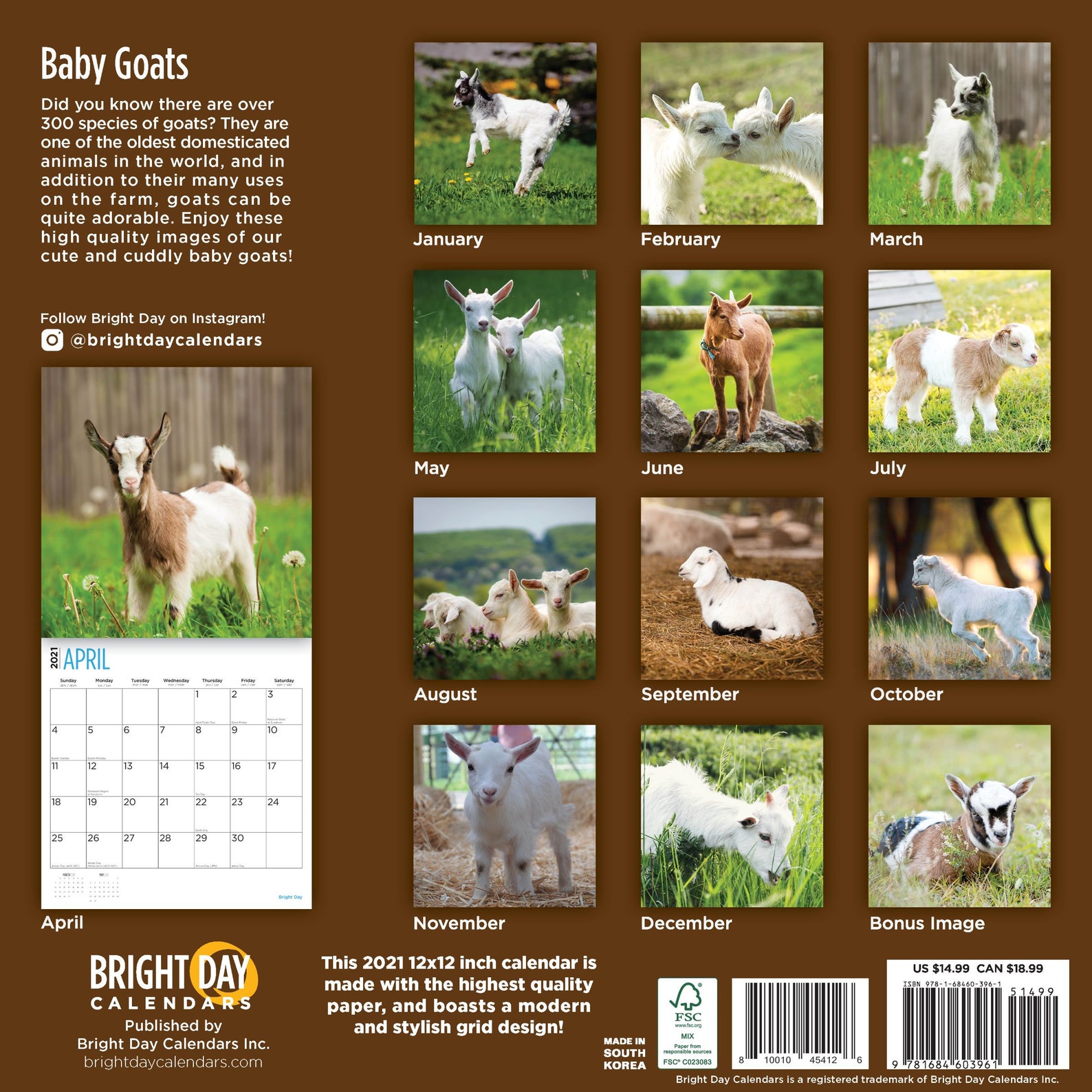 2021 Baby Goats 12 x 12 Wall Calendar Cute Farm Animal Etsy