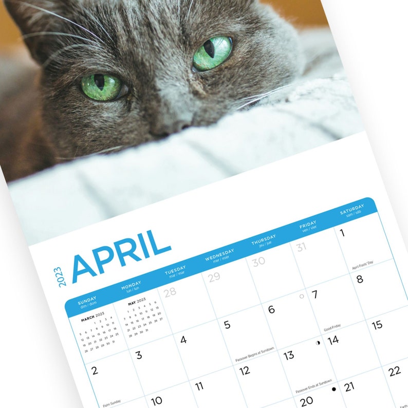 2023 Cats Wall Calendar by Bright Day 12x12 Inch Etsy