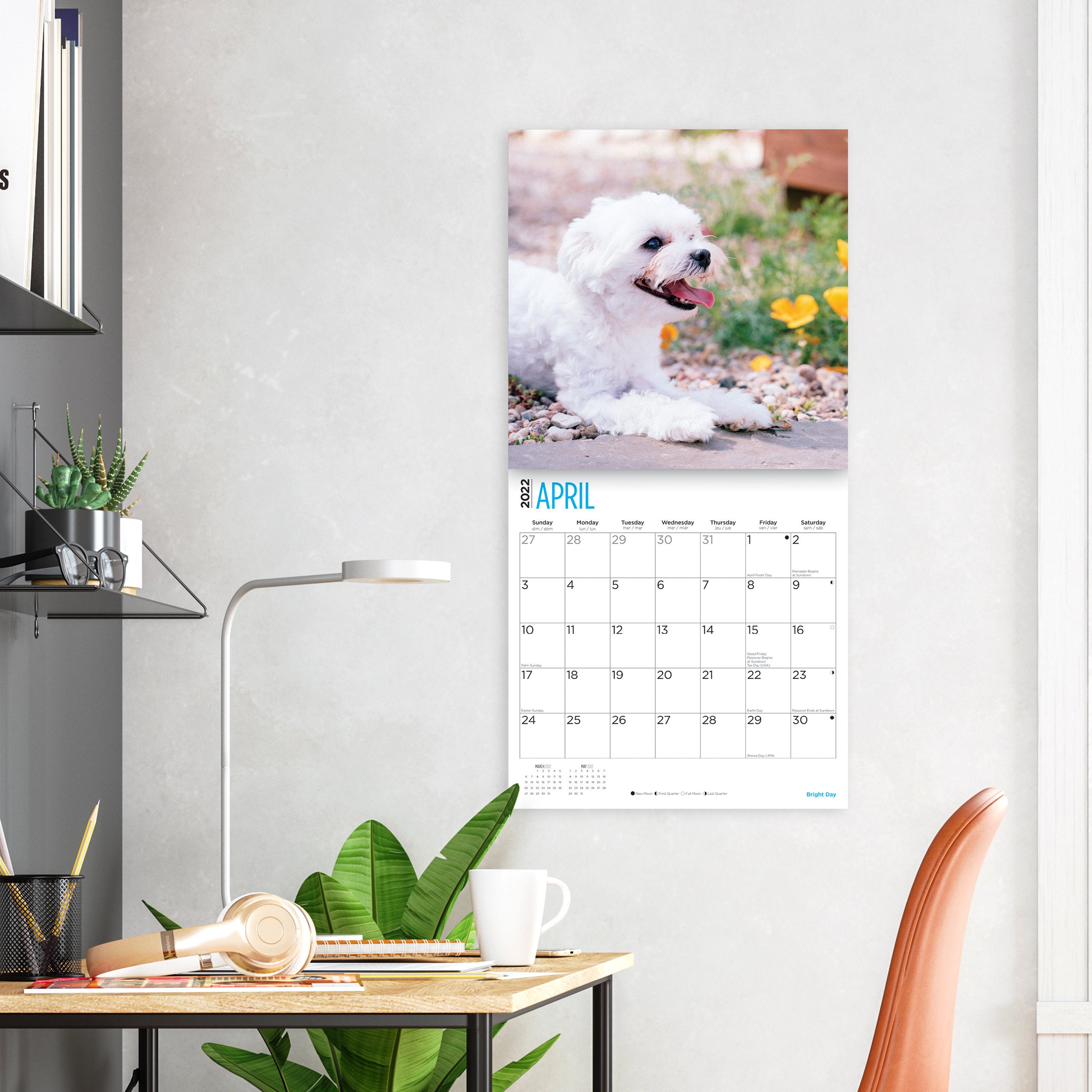 2022 Maltese Wall Calendar by Bright Day 12 x 12 Inch Etsy