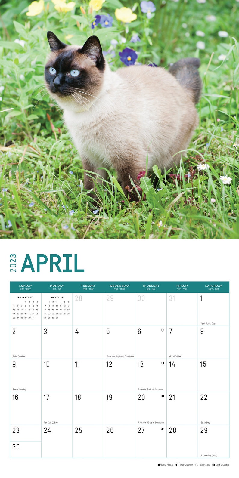 2023 Siamese Cats Wall Calendar by Bright Day 12x12 Inch Etsy