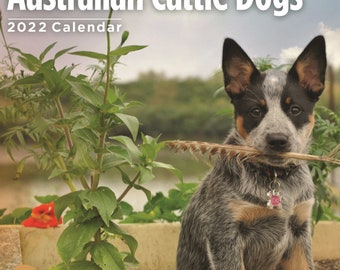 australian cattle dog gifts