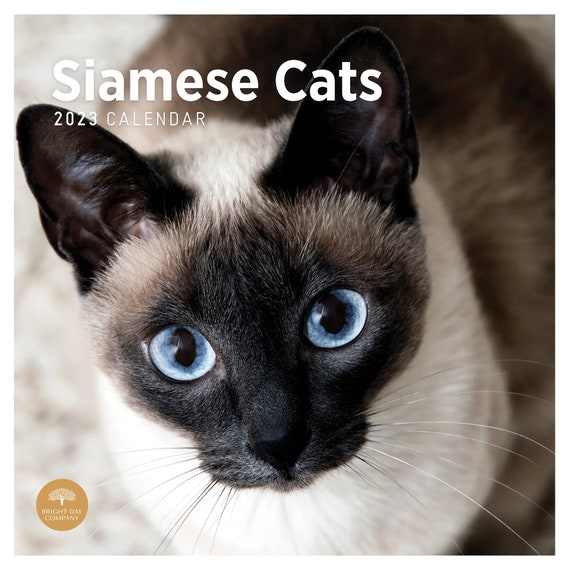 2023 Siamese Cats Wall Calendar by Bright Day 12x12 Inch Etsy
