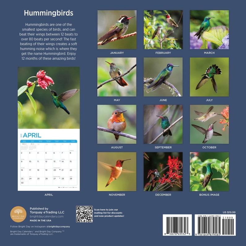 2023 Hummingbirds Wall Calendar by Bright Day 12x12 Inch Etsy