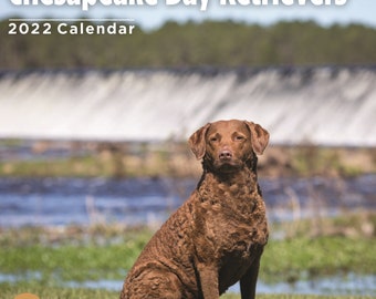 chesapeake bay retriever gifts