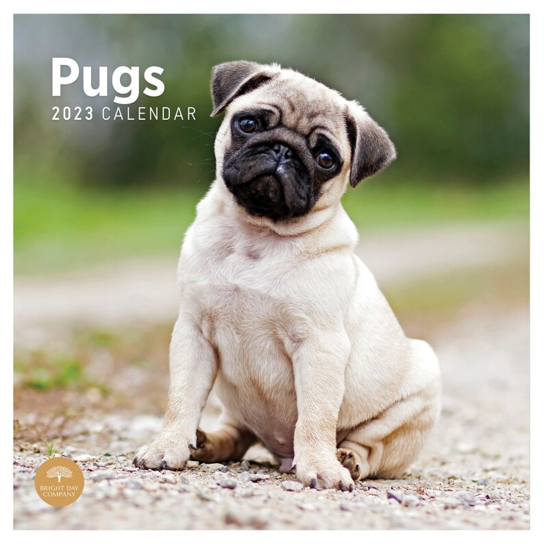 2023 Pugs Wall Calendar by Bright Day 12x12 Inch Etsy