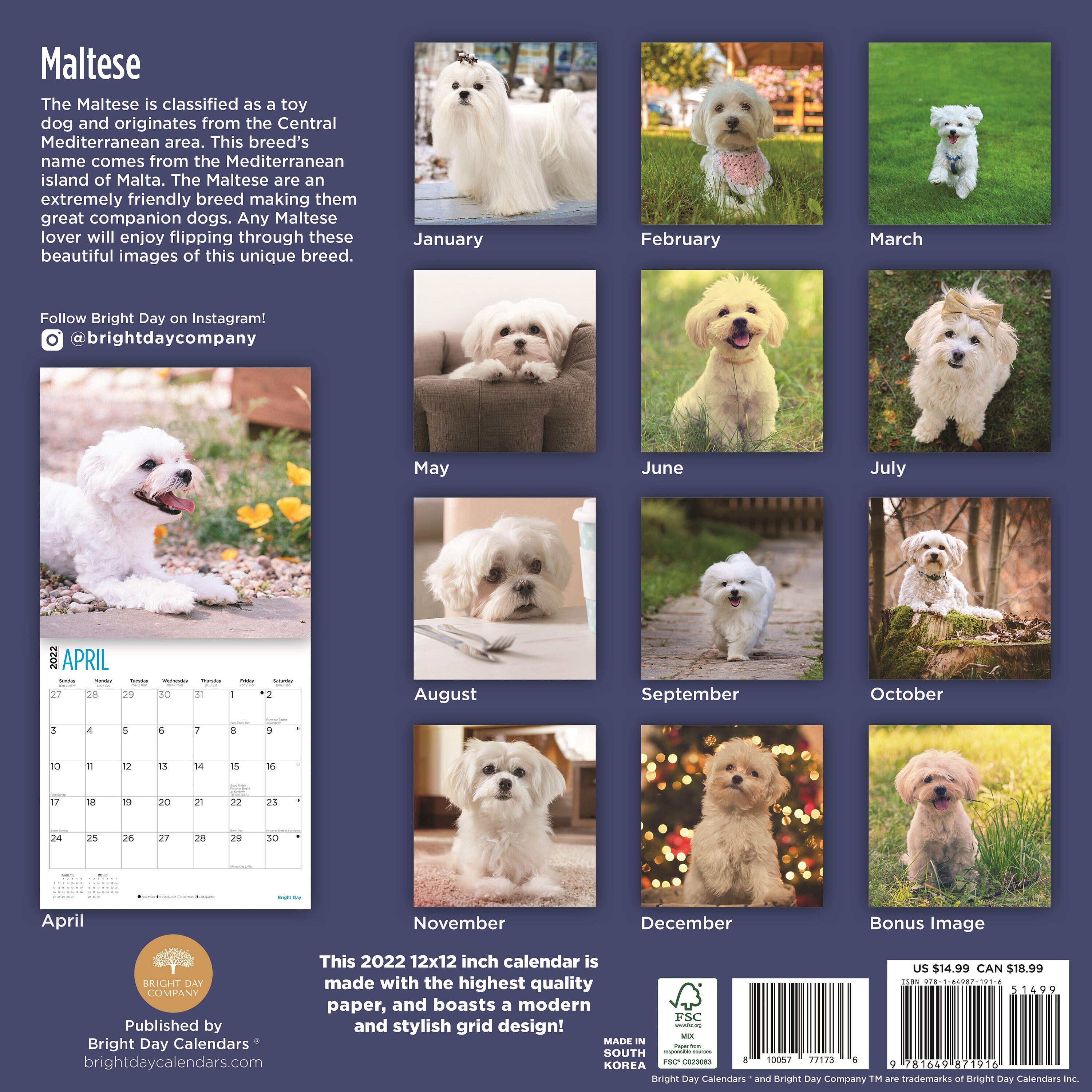 2022 Maltese Wall Calendar by Bright Day 12 x 12 Inch | Etsy