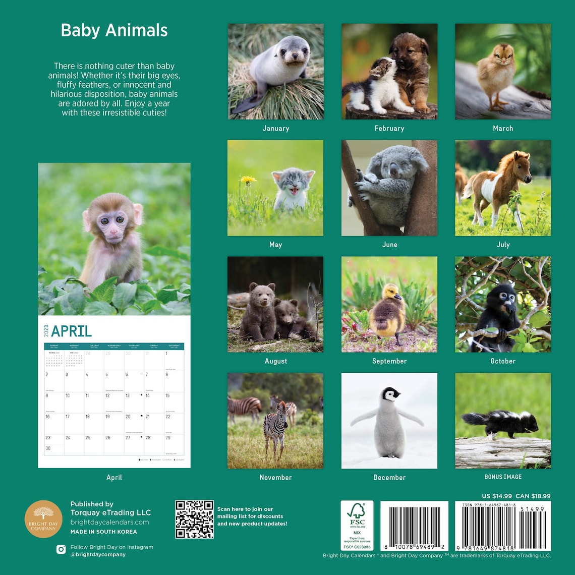 2023 Baby Animals Wall Calendar by Bright Day 12x12 Inch Etsy