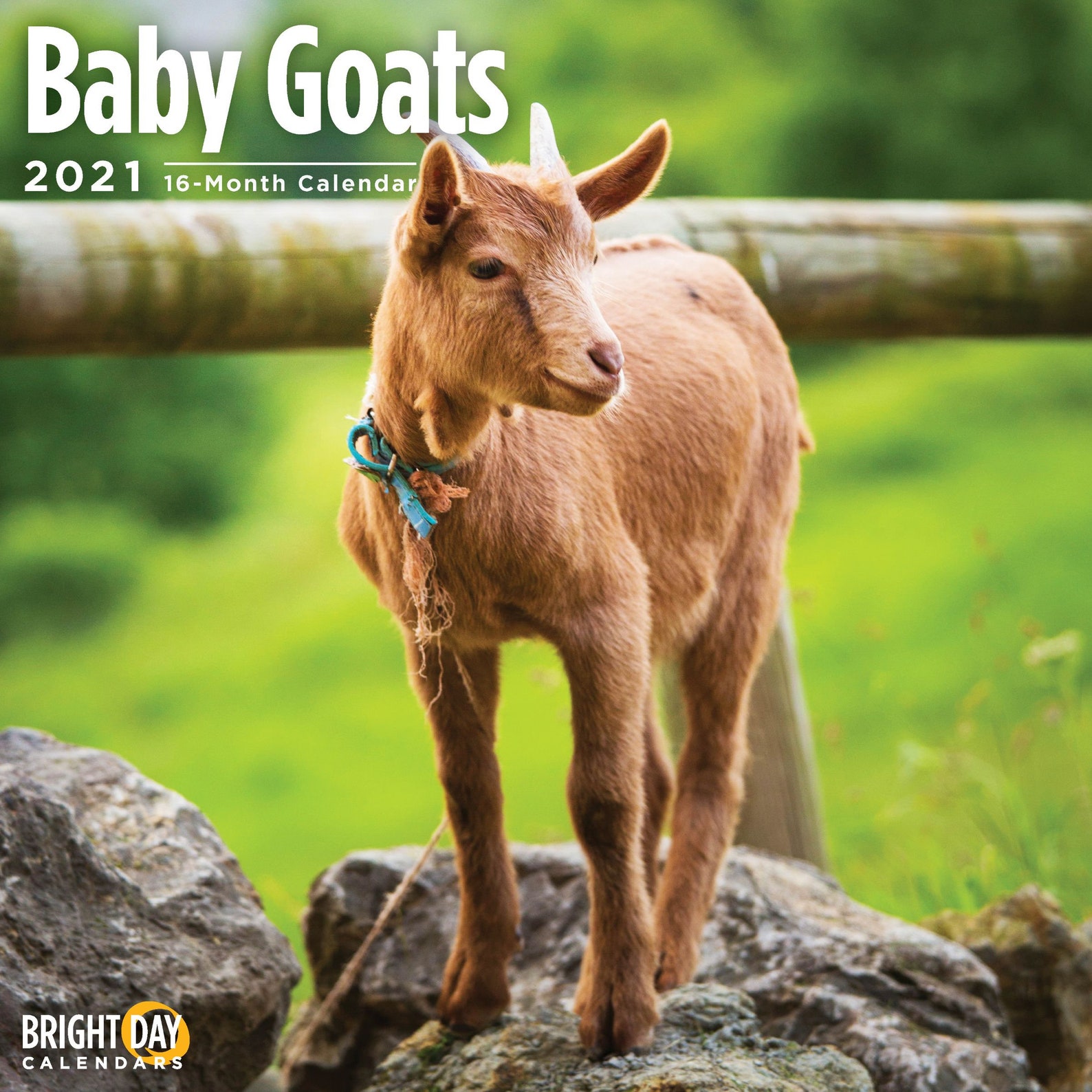 2021 Baby Goats 12 X 12 Wall Calendar Cute Farm Animal Etsy