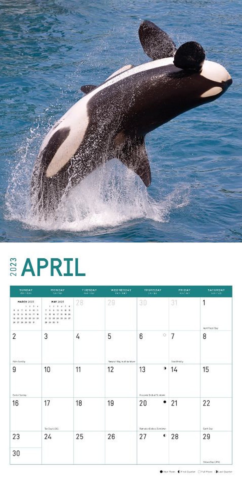 2023 Orcas Wall Calendar by Bright Day 12x12 Inch Etsy