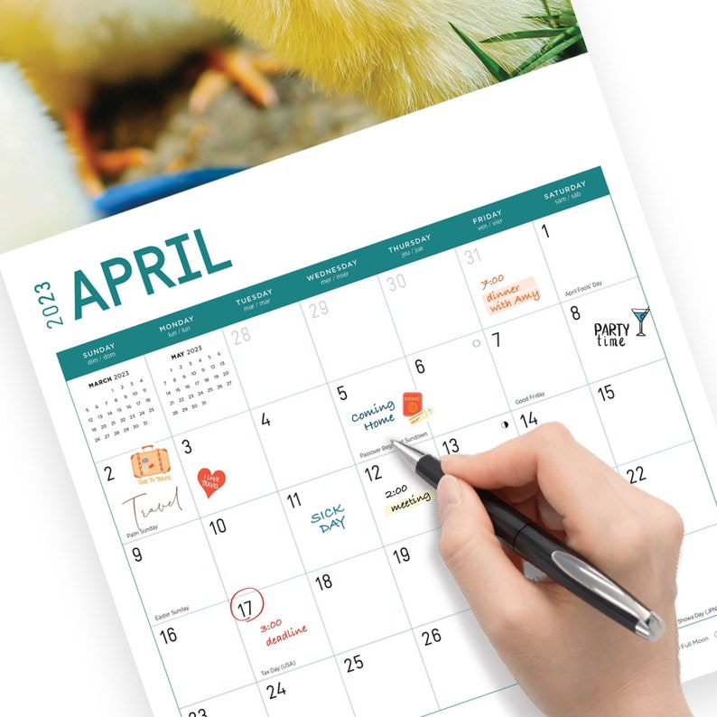 2023 Chicks Wall Calendar by Bright Day 12x12 Inch Etsy