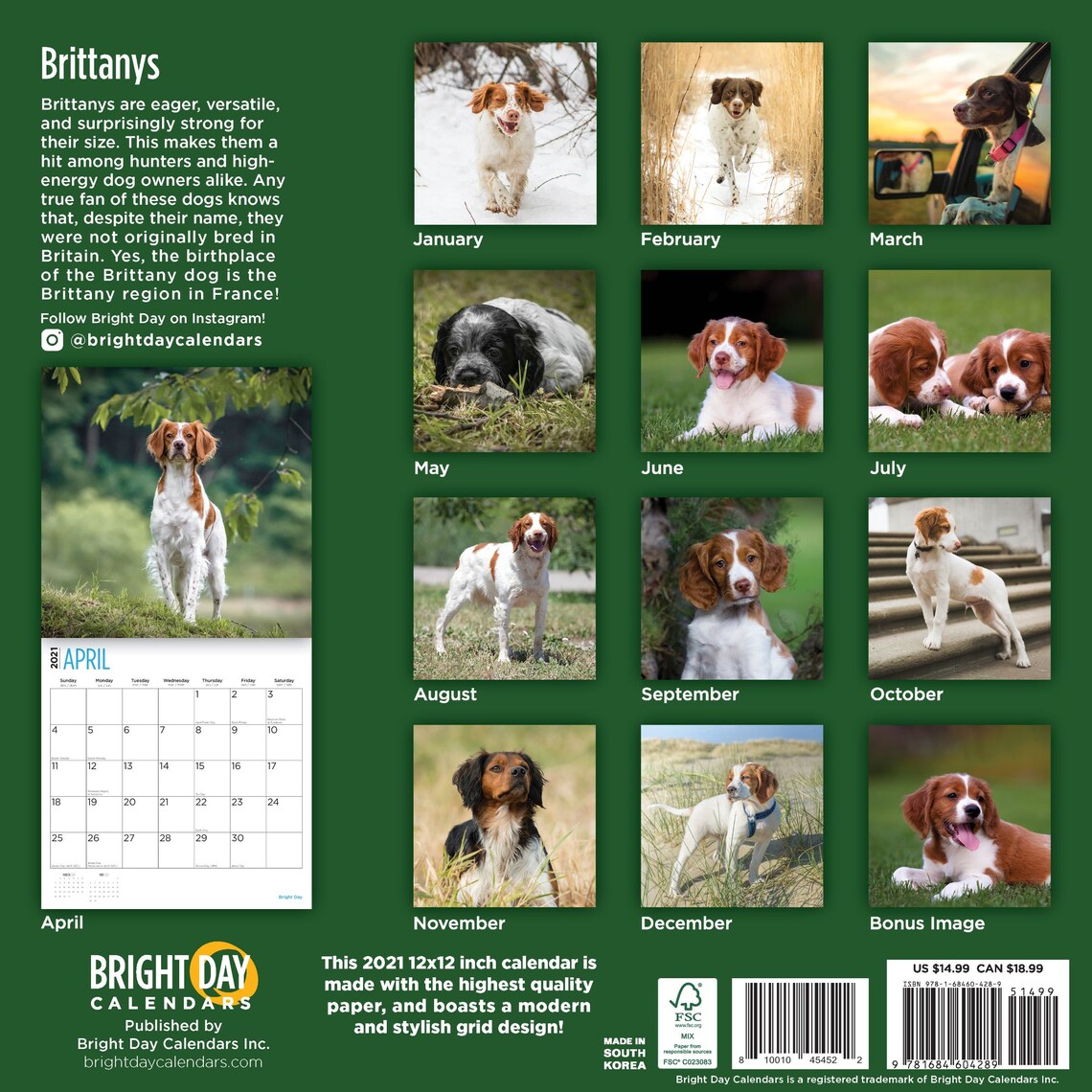2021 Brittanys 12 x 12 Wall Calendar Cute Puppy Dog France Etsy